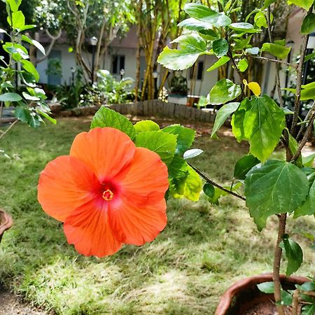 The Well Beach Side Guest House Auroville Ngoại thất bức ảnh