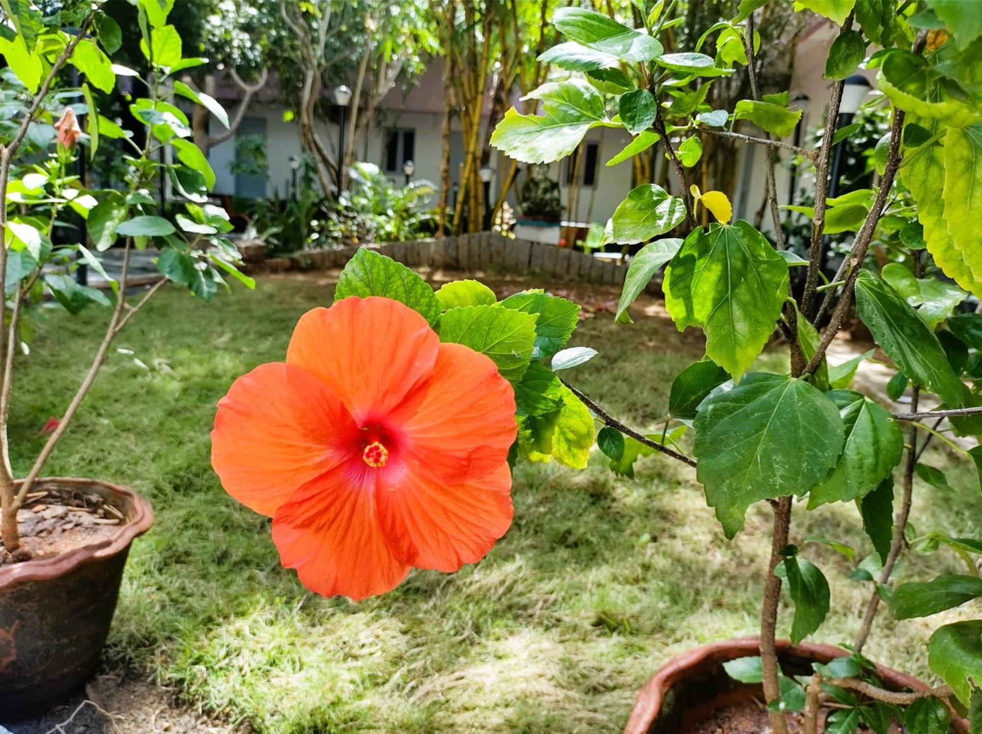 The Well Beach Side Guest House Auroville Ngoại thất bức ảnh